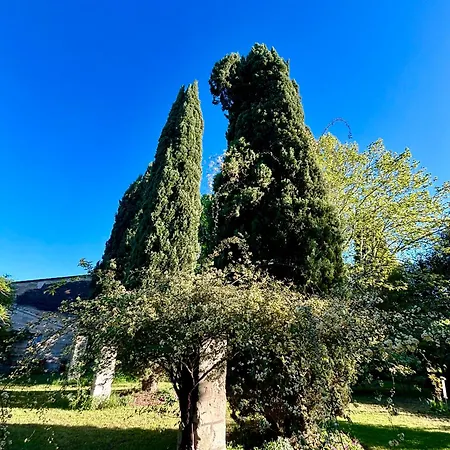 Domaine De Brancas And Petit Domaine De Brancas Holiday home