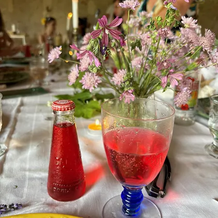 Domaine De Brancas And Petit Domaine De Brancas Holiday home